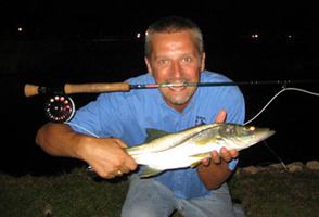 snook